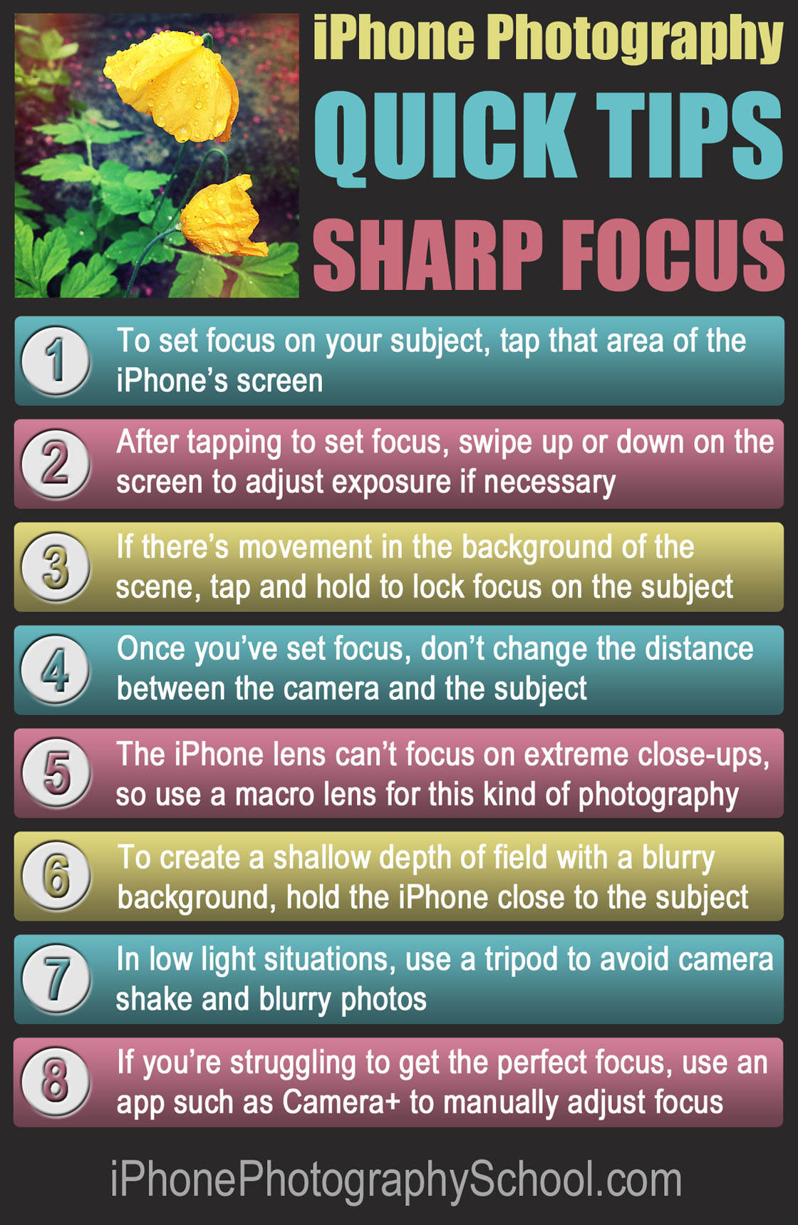 iPhone Focus Quick Tips