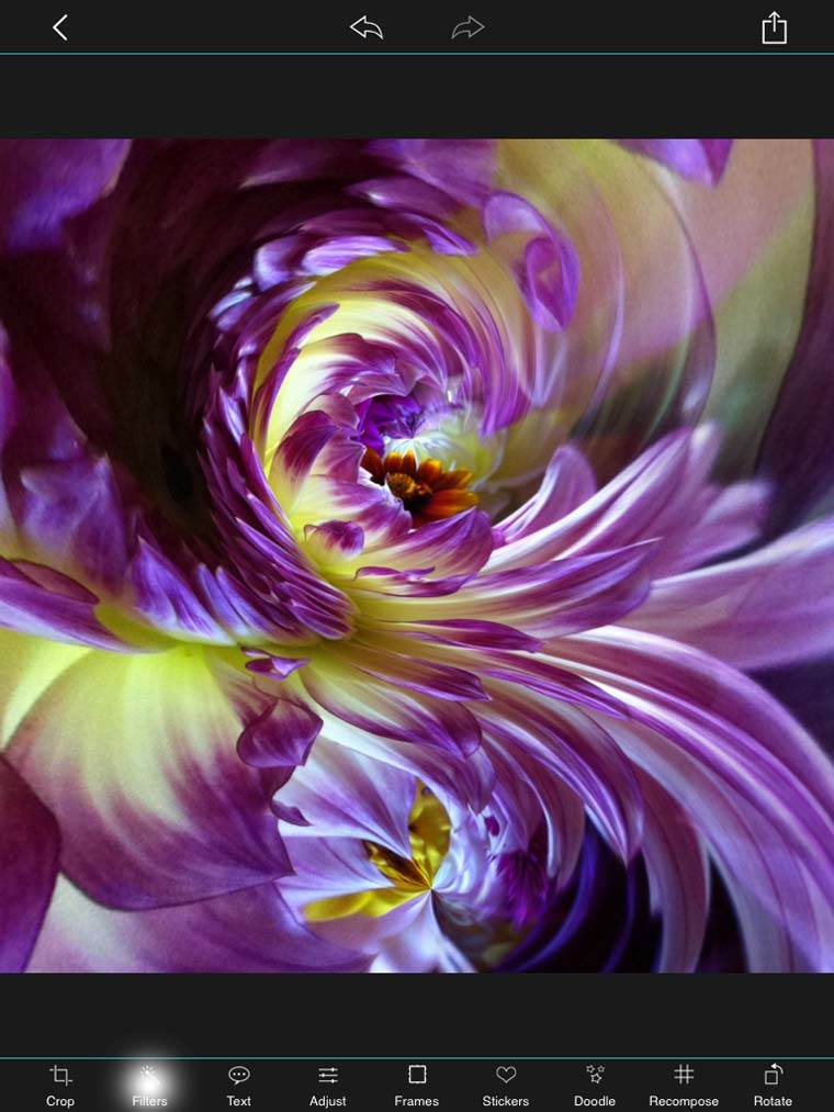 Abstract Art iPhone Flowers 16