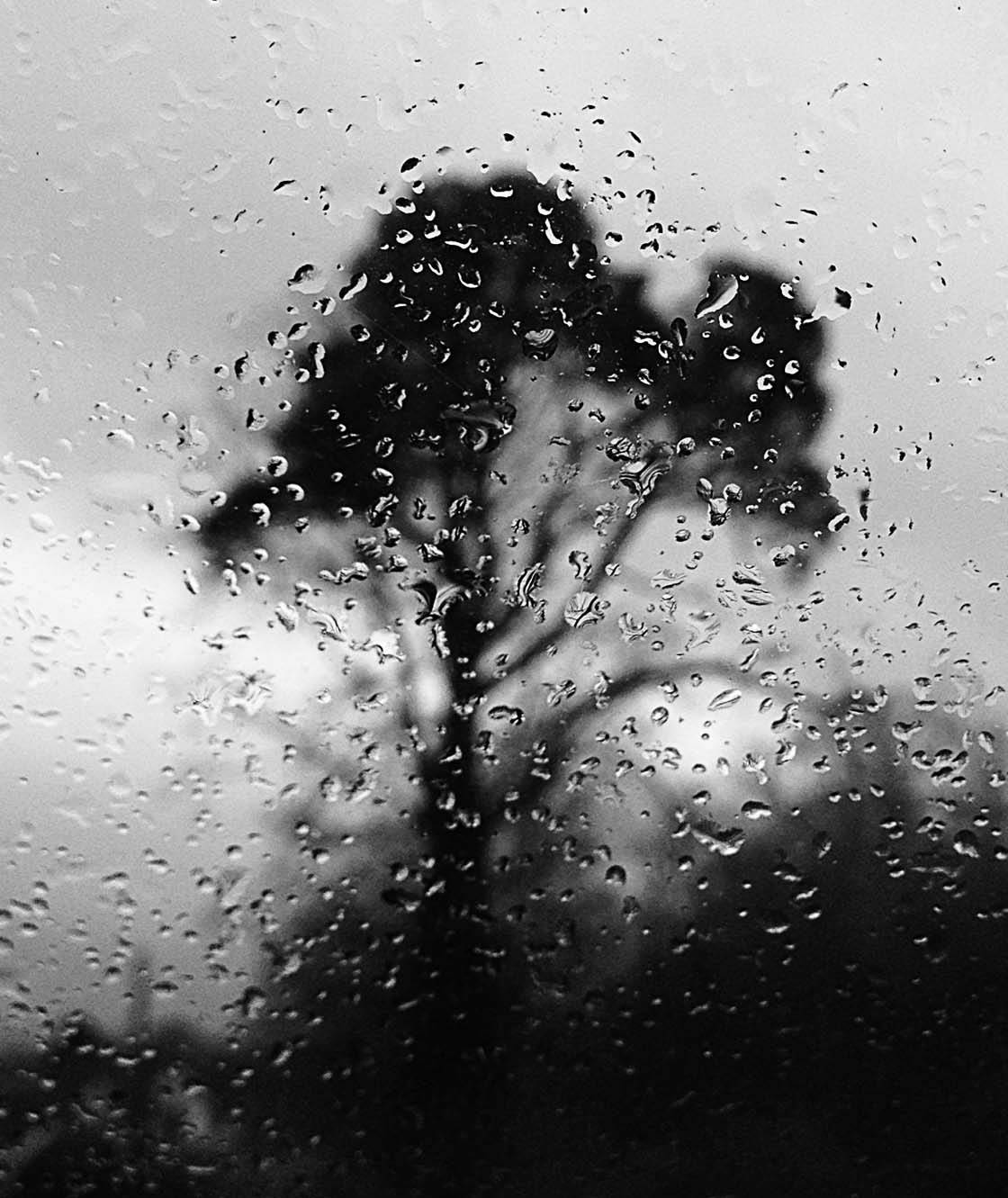 Rainy Day iPhone Photos 40