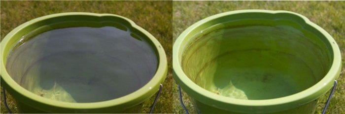 Диптих из одинаковых фотографий зеленого ведра в солнечный день, до и после использования поляризационного фильтра
