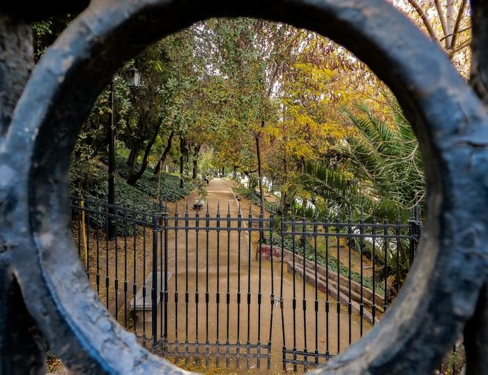 Фотография парка, увиденного через круглую часть ворот на переднем плане, как рамка в рамке
