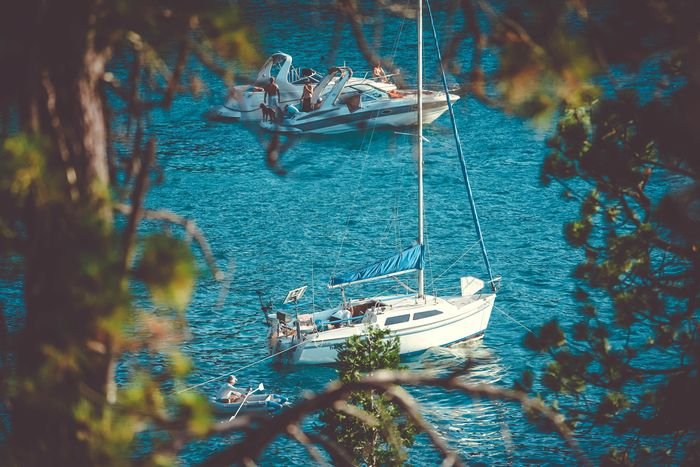 Фотография яхт на водном пейзаже с использованием ветвей дерева в качестве метода фотографического обрамления
