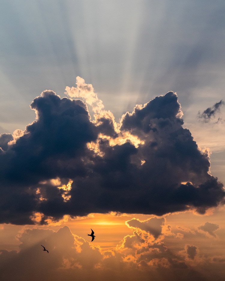 Драматическая фотография солнечного света за темным облаком, под которым летают птицы. The Top 10 Secret Ingredients of Professional Photography Revealed
