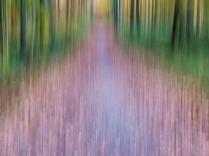 Абстрактный пейзаж в сонийском лесу с использованием творческого размытия движения