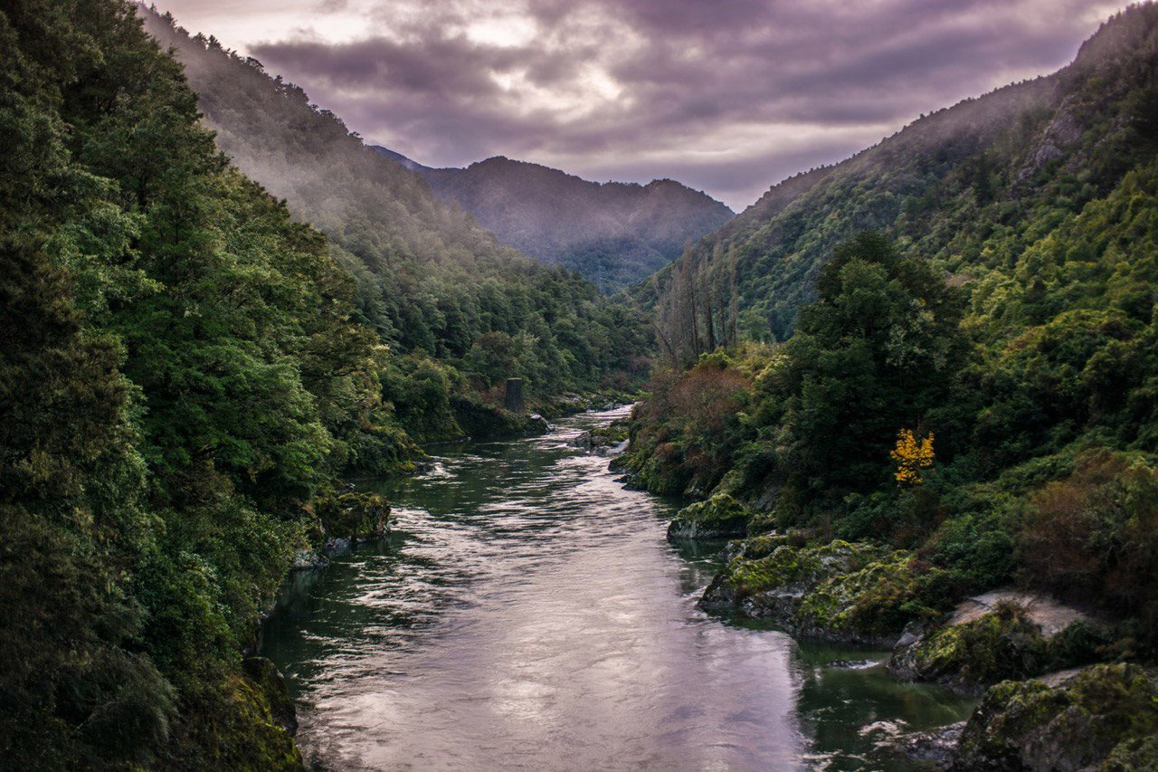 вечерний снимок ущелья буллер, новая зеландия - крутые пейзажные места