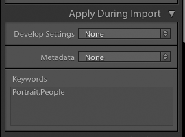 Пример применения ключевых слов в панели Apply During Import в Adobe Lightroom