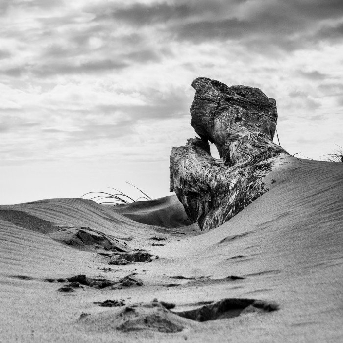 Черно-белая фотография песчаной дюны с текстурированной древесиной