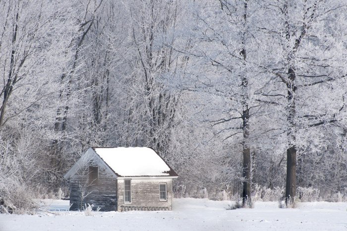 Зимний пейзаж деревянной избушки, покрытой снегом, в лесу.