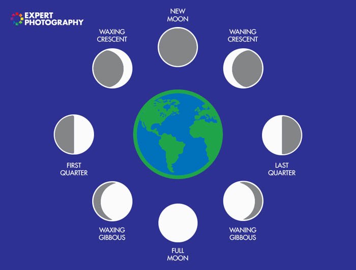 Диаграмма, показывающая Луну в разных фазах