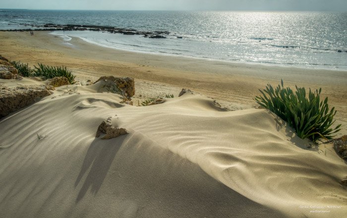 Песчаные дюны и берег в ясный день
