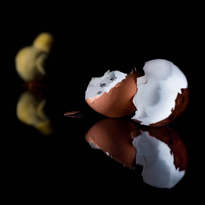 Фотография натюрморта с разбитым яйцом и курицей