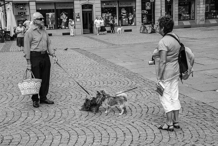 Черно-белая городская фотография двух людей с собаками, встречающихся на улице в Страсбурге