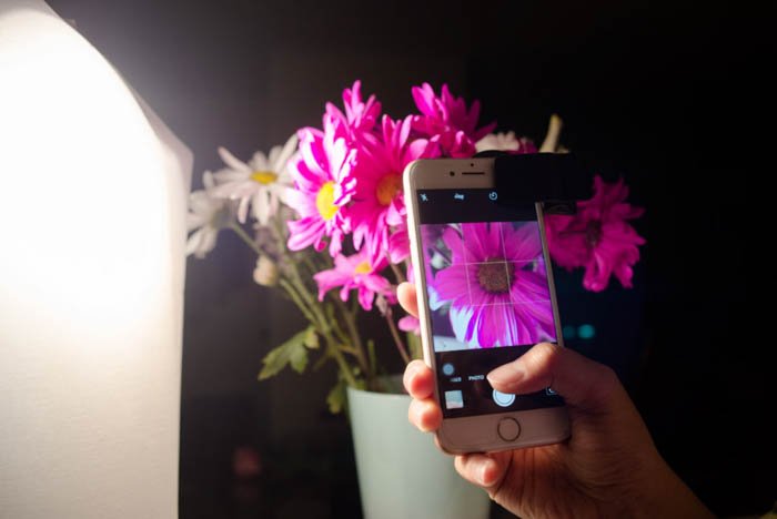 установка для макросъемки смартфоном в помещении с розовым цветком в горшке