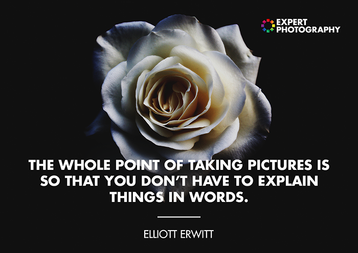 Elliott Erwitt Photography Quote