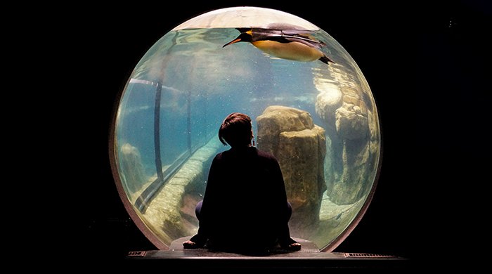 Девушка в аквариуме, повернутая спиной к камере
