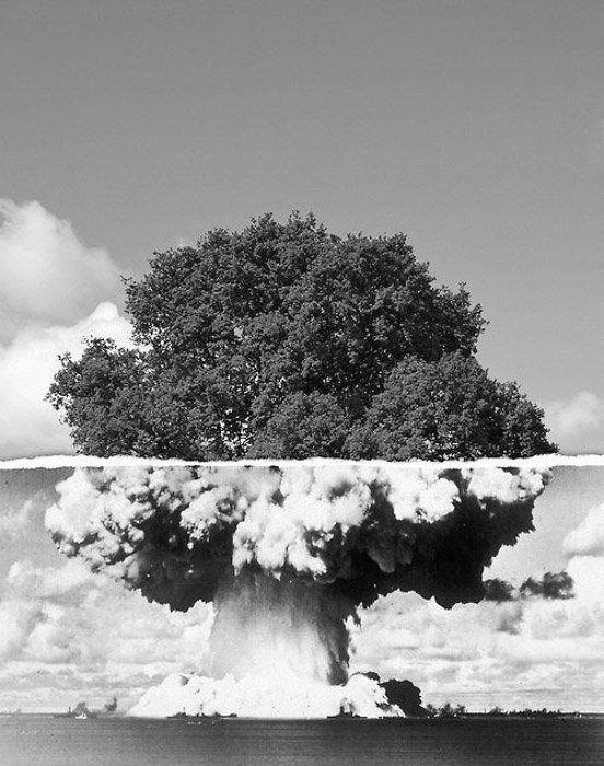  изображение дерева и грибовидного облака атомной бомбы были объединены