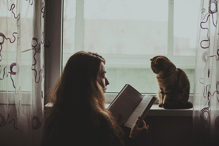 ethereal photo of the girl reading to her cat who sits on the windowsill, natural light portrait photography