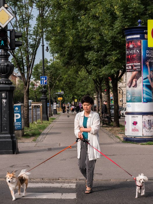 Уличная фотография женщины, выгуливающей двух собак в Будапеште, сделанная на камеру Panasonic gh5 Крейгом Халлом