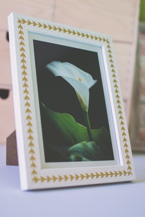 Фотография белой лилии в белой рамке. Креативные идеи для фотографии.