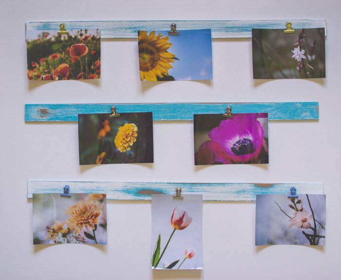 Уникальный подарочный фотоэкран из 7 цветочных фотографий, висящих на зеленых досках. Креативные идеи для фотографии.
