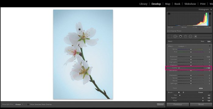 Скриншот Adobe Lightroom редактирования цветочной фотографии - Lightroom clarity brush decrease