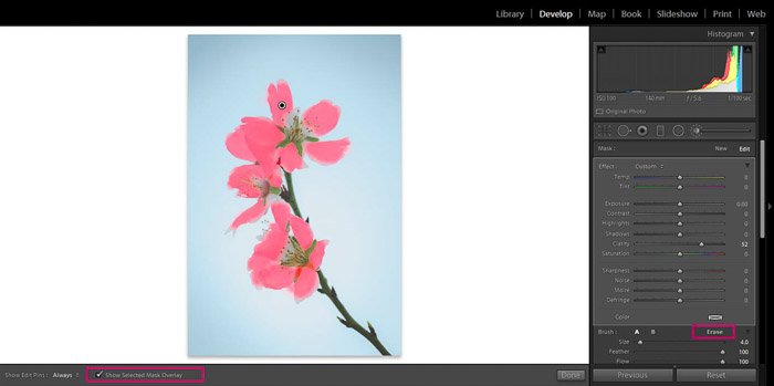 Скриншот редактирования цветочной фотографии в Adobe Lightroom - режимы просмотра редактирования в Lightroom - наложение маски