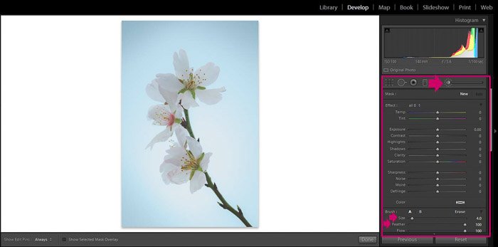 Screenshot of Adobe Lightroom editing flower photography - Lightroom editing view modes -clarity brush