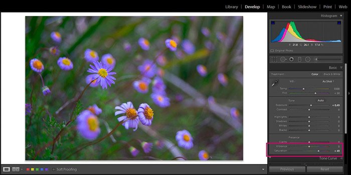 Скриншот редактирования цветочной фотографии в Adobe Lightroom - режимы просмотра редактирования в Lightroom