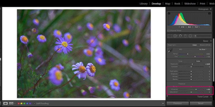 Скриншот Adobe Lightroom редактирование цветочной фотографии - Lightroom редактирование vibrance