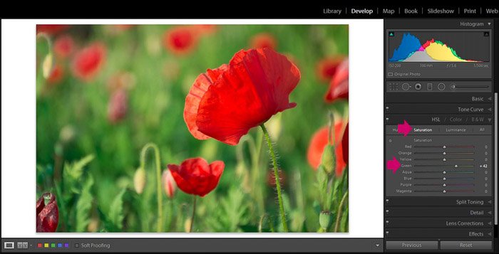 Скриншот Adobe Lightroom редактирование цветочной фотографии - советы по редактированию в Lightroom - насыщенность
