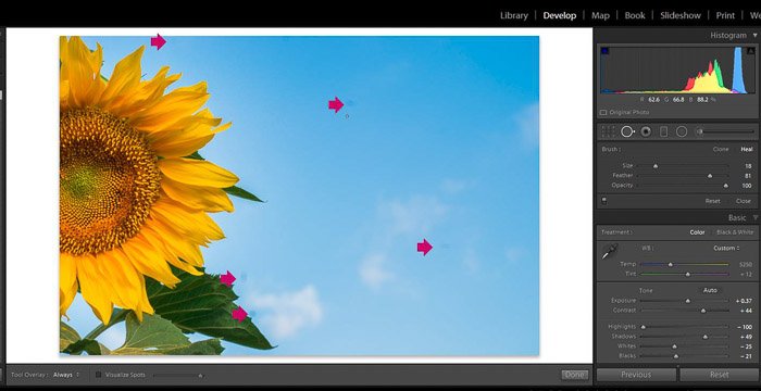 Скриншот инструмента удаления пятен Adobe Lightroom для редактирования цветочных фотографий