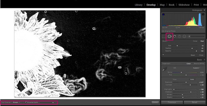 Скриншот инструмента удаления пятен Adobe Lightroom для редактирования цветочных фотографий