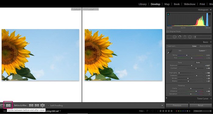 Скриншот редактирования Adobe Lightroom цветочной фотографии - сравнение режимов просмотра редактирования Lightroom