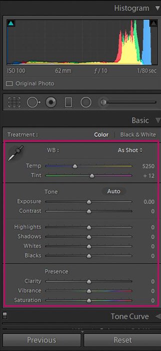Скриншот панели глобальных настроек Adobe Lightroom для редактирования цветочной фотографии