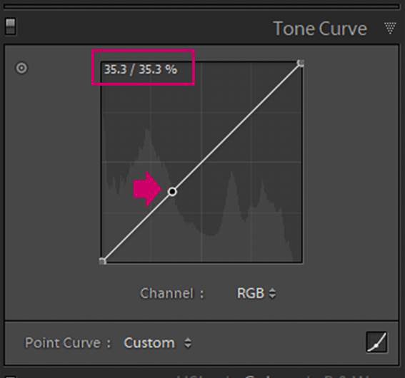 Скриншот редактирования цветочной фотографии в Adobe Lightroom - точка фиксации кривой тона Lightroom
