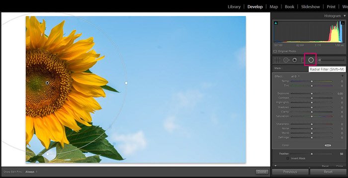 Скриншот Adobe Lightroom редактирование цветочной фотографии - Lightroom фильтр lightroom