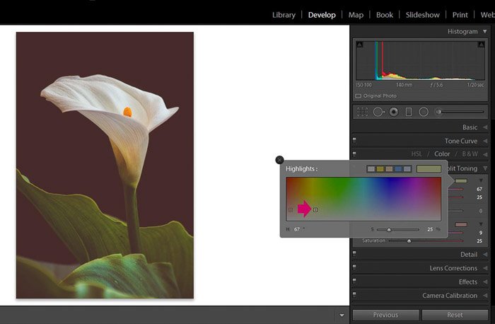 Скриншот панели выделения Adobe Lightroom для редактирования цветочной фотографии