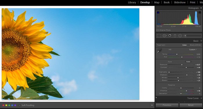 Скриншот инструмента удаления пятен Adobe Lightroom для редактирования цветочной фотографии - финальное изображение - советы по редактированию в Lightroom