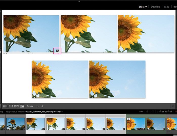 Screenshot of Adobe Lightroom editing flower photography - Lightroom editing view modes deleting