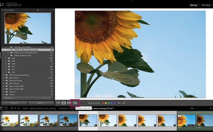 Скриншот Adobe Lightroom редактирование цветочной фотографии - советы по редактированию в Lightroom