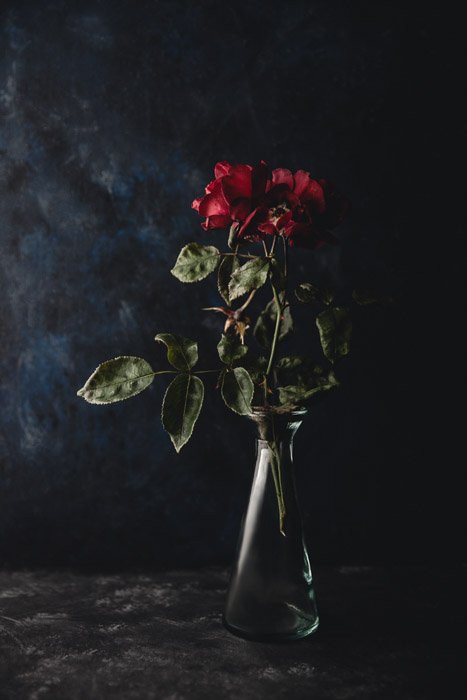 Натюрморт фотографии идеи увядающих роз в вазе на темном фоне. 