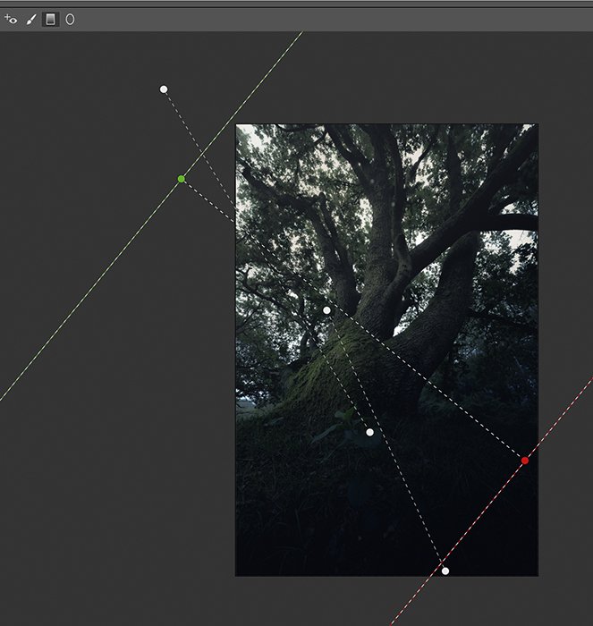 Скриншоты постобработки изображений деревьев в Photoshop