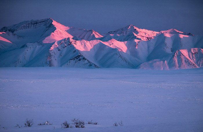 холмы, покрытые снегом на закате, с розоватым свечением на них