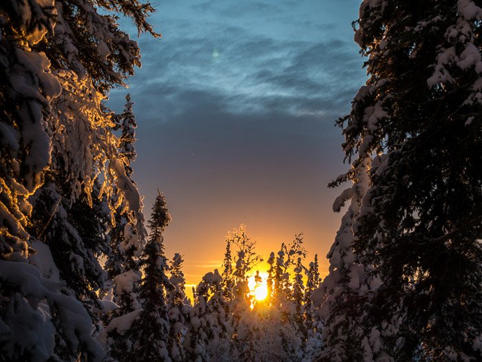 Потрясающая зимняя фотография заснеженного леса на закате.