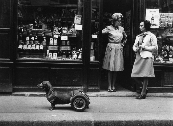 Роберт Доисно юмористическое уличное фото маленькой собачки с колесиками, поддерживающей ее задние лапы, рядом с двумя женщинами, болтающими у входа в магазин - знаменитые фотографы