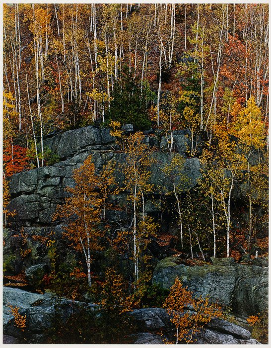Eliot Porter захватывающий пейзажный снимок скал в окружении осенних деревьев