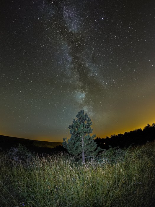 Другое мирское ночное небо: дерево в центре травянистого пейзажа, звездное небо и звездные следы над ним