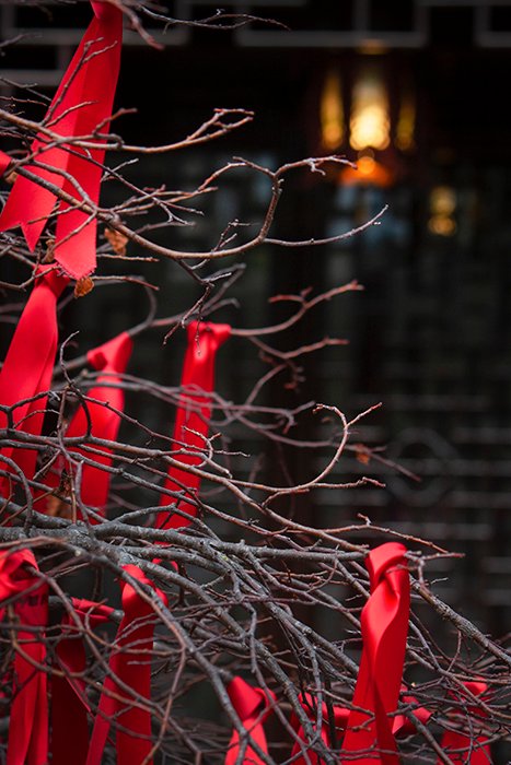 Красные ленты, привязанные к безлистному дереву в унылый серый день.