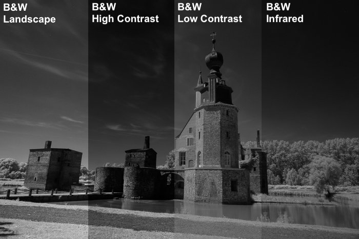 Изображение, разделенное на 4 части, чтобы показать сравнение некоторых пресетов B&&W на инфракрасном снимке.