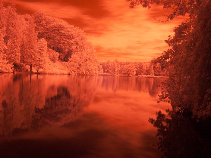 Ярко-оранжевая фотография пруда в популярном семейном парке под Брюсселем.